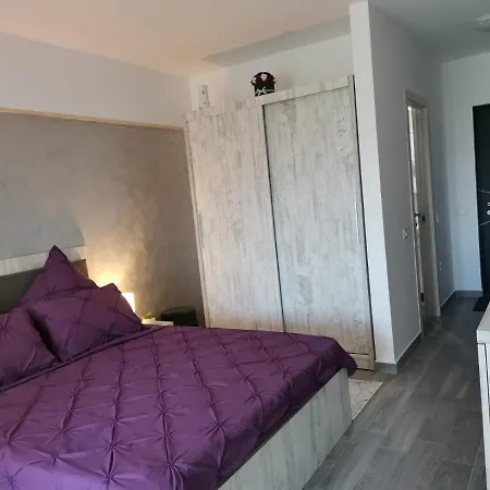 Garsoniera Apartment